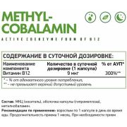 Natural Supp Vitamin B12, 60 капс.