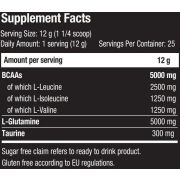 Scitec Nutrition BCAA + Glutamine Xpress, 300 гр.